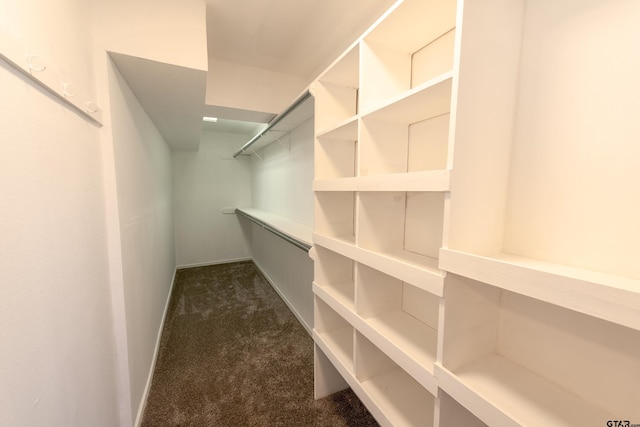 walk in closet with dark carpet