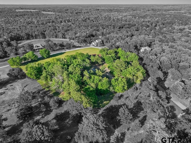 16551 Fox Run Ln, Lindale, TX 75771 - photo 42