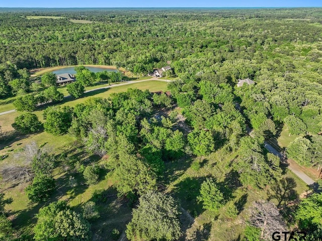 16551 Fox Run Ln, Lindale, TX 75771 - photo 41