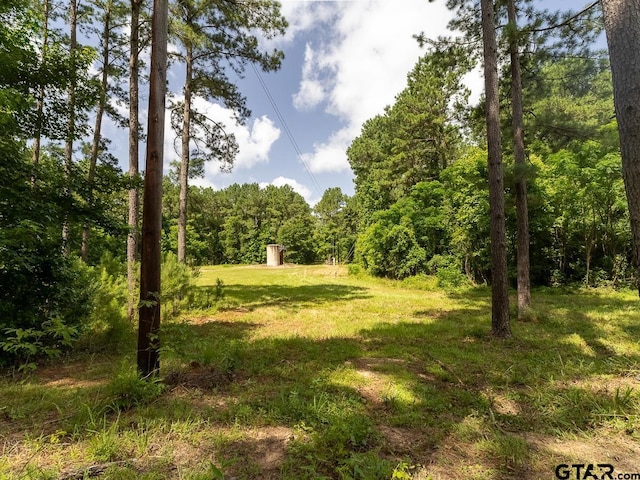 000 County Road 3218, Mount Enterprise, TX 75681 - photo 10