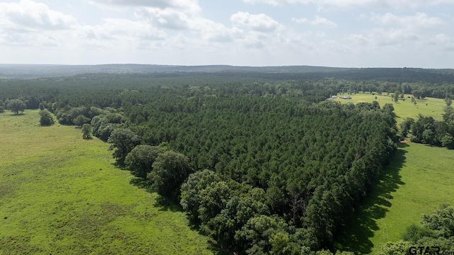 000 County Road 3218, Mount Enterprise, TX 75681 - photo 5