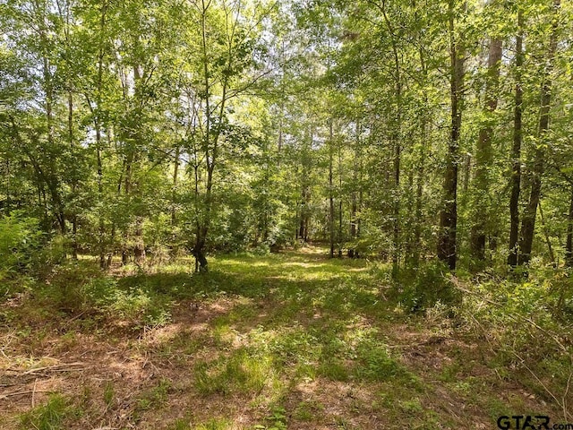000 County Road 3218, Mount Enterprise, TX 75681 - photo 11