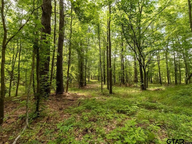 000 County Road 3218, Mount Enterprise, TX 75681 - photo 23
