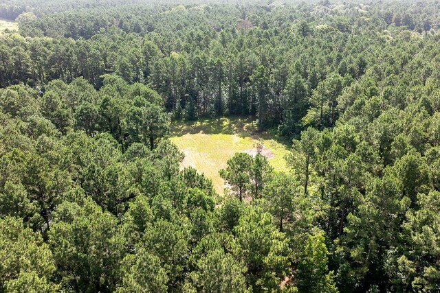 000 County Road 3218, Mount Enterprise, TX 75681 - photo 2