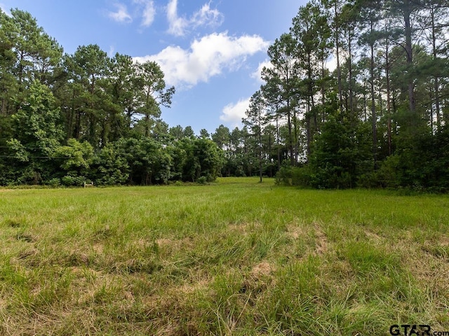 000 County Road 3218, Mount Enterprise, TX 75681 - photo 6