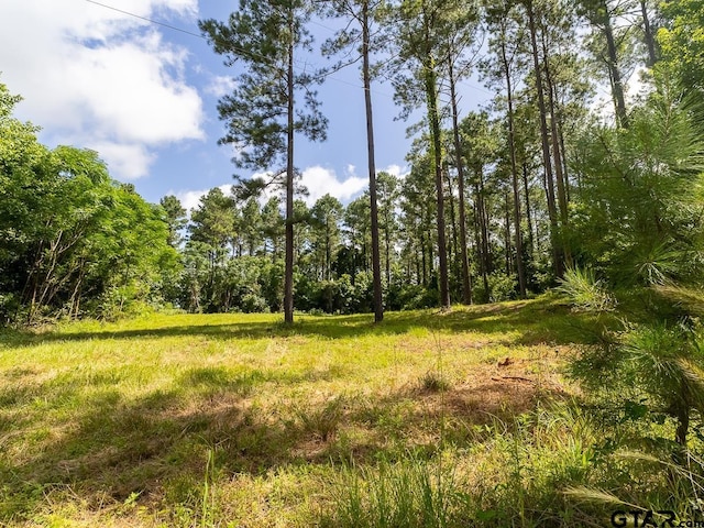 000 County Road 3218, Mount Enterprise, TX 75681 - photo 7
