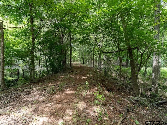 000 County Road 3218, Mount Enterprise, TX 75681 - photo 18