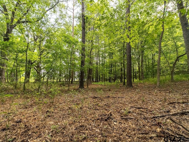 000 County Road 3218, Mount Enterprise, TX 75681 - photo 19