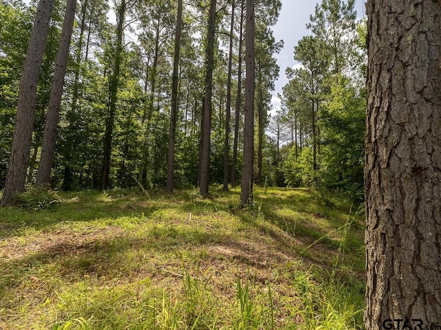000 County Road 3218, Mount Enterprise, TX 75681 - photo 9