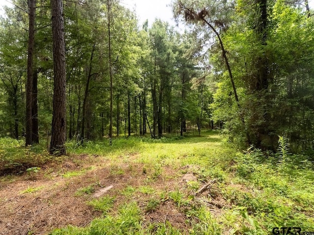 000 County Road 3218, Mount Enterprise, TX 75681 - photo 22