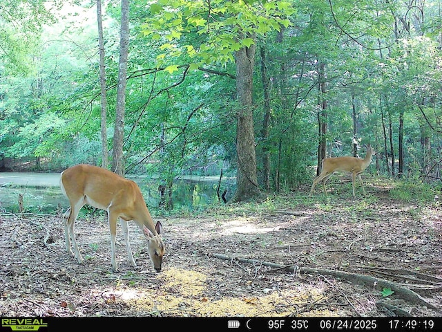 000 County Road 3218, Mount Enterprise, TX 75681 - photo 26