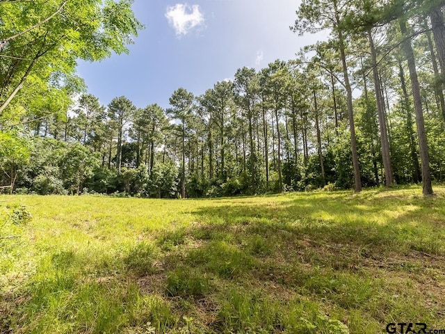 000 County Road 3218, Mount Enterprise, TX 75681 - photo 8