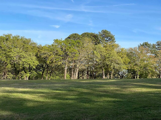 TBDLOT382 Greenbriar, Holly Lake Ranch, TX 75765 - photo 22