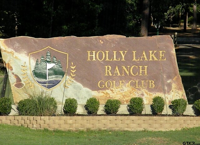 TBDLOT382 Greenbriar, Holly Lake Ranch, TX 75765 - photo 27