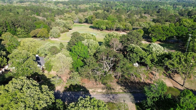 Listing photo 3 for TBDLOT382 Greenbriar, Holly Lake Ranch TX 75765