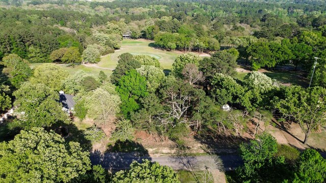 TBDLOT382 Greenbriar, Holly Lake Ranch, TX 75765 - photo 3