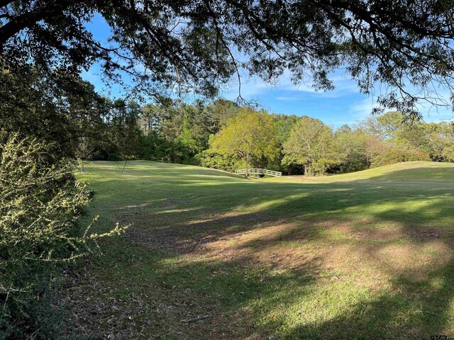 TBDLOT382 Greenbriar, Holly Lake Ranch, TX 75765 - photo 24