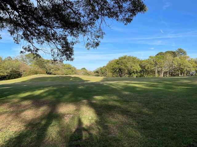 TBDLOT382 Greenbriar, Holly Lake Ranch, TX 75765 - photo 26