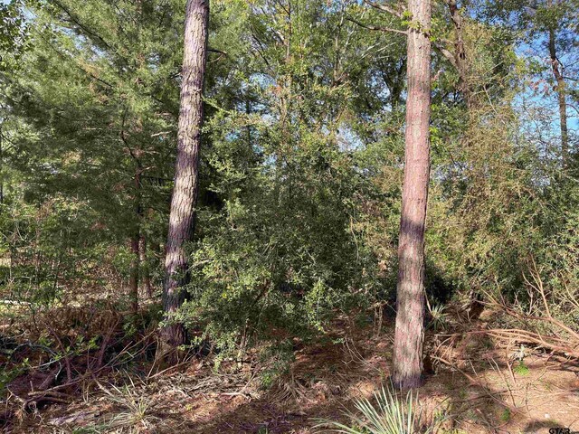 TBDLOT382 Greenbriar, Holly Lake Ranch, TX 75765 - photo 12