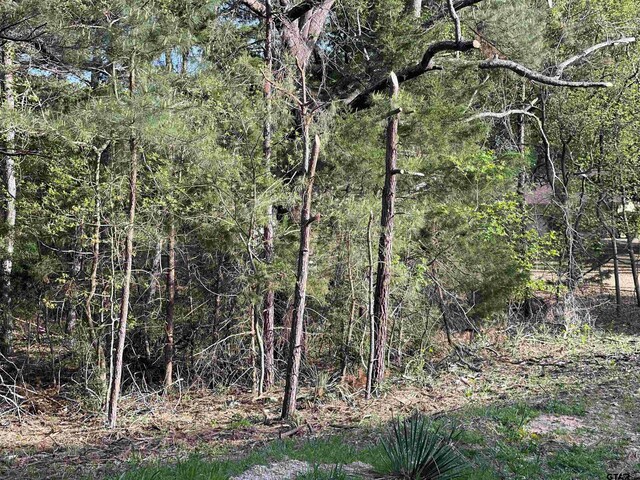 TBDLOT382 Greenbriar, Holly Lake Ranch, TX 75765 - photo 9