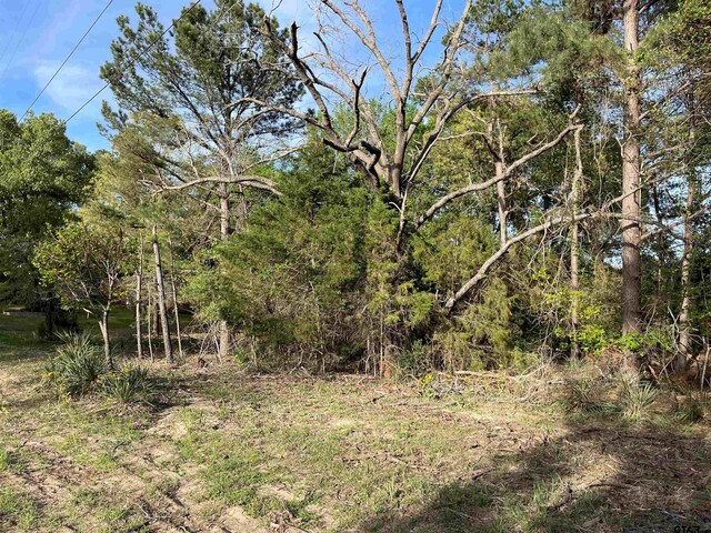 TBDLOT382 Greenbriar, Holly Lake Ranch, TX 75765 - photo 10
