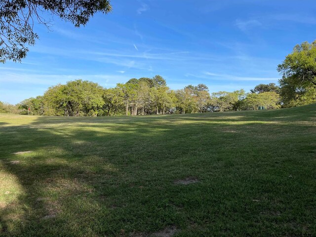 TBDLOT382 Greenbriar, Holly Lake Ranch, TX 75765 - photo 25