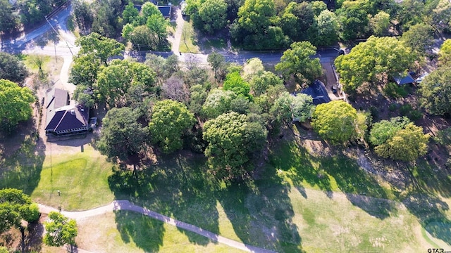 TBDLOT382 Greenbriar, Holly Lake Ranch, TX 75765 - photo 2