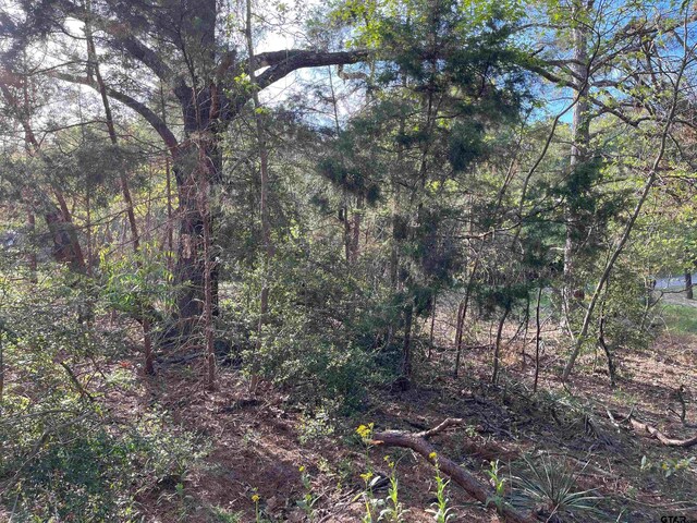 TBDLOT382 Greenbriar, Holly Lake Ranch, TX 75765 - photo 11