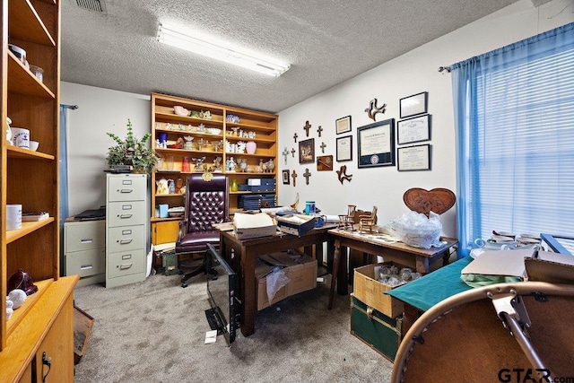 office featuring carpet flooring, a textured ceiling, and a wealth of natural light