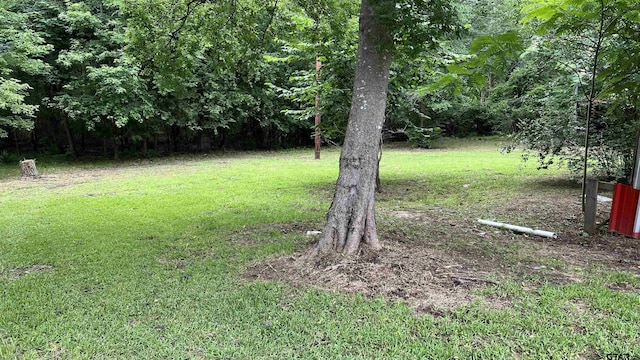 2035 Fm 69, Quitman, TX 75783 - photo 40