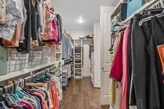 7306 Tule Creek Ln, Tyler, TX 75703 - spacious closet with wood finished floors