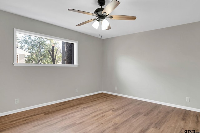 empty room featuring ceiling fan and light wood-type flooring