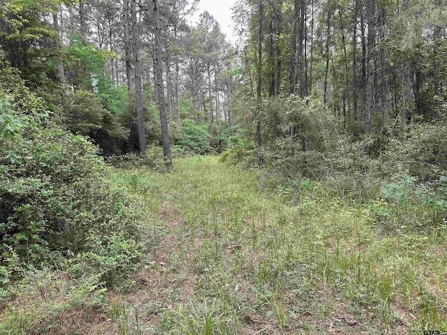 TBD Sand Rd, Lufkin, TX 75904