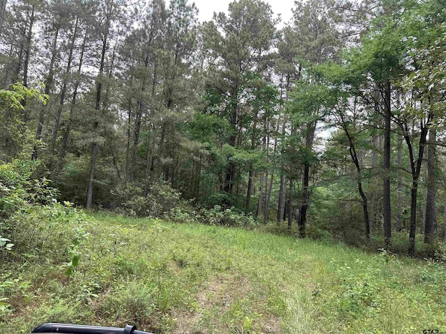 TBD Sand Rd, Lufkin, TX 75904