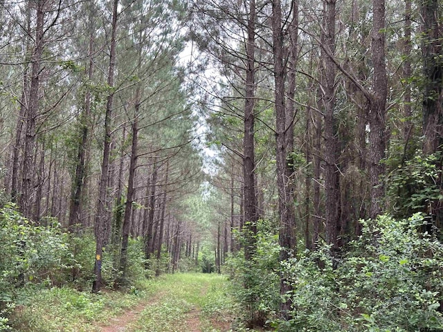 TBD Sand Rd, Lufkin, TX 75904