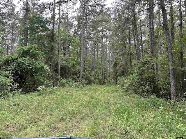 TBD Sand Rd, Lufkin, TX 75904