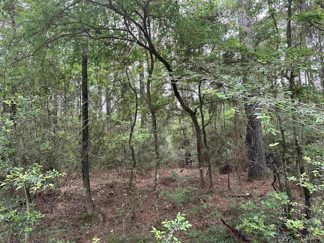 TBD Sand Rd, Lufkin, TX 75904