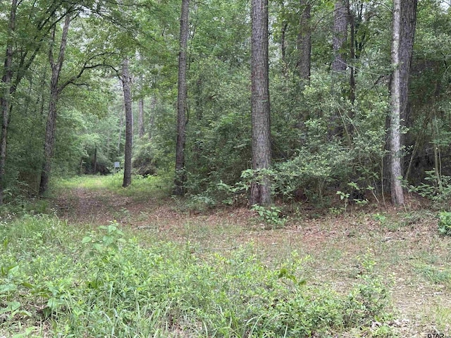 TBD Sand Rd, Lufkin, TX 75904