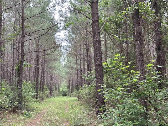 TBD Sand Rd, Lufkin, TX 75904