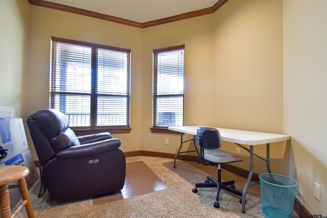 1860 Holcomb Cir, Tyler, TX 75703 - office space with baseboards, ornamental molding, and carpet flooring