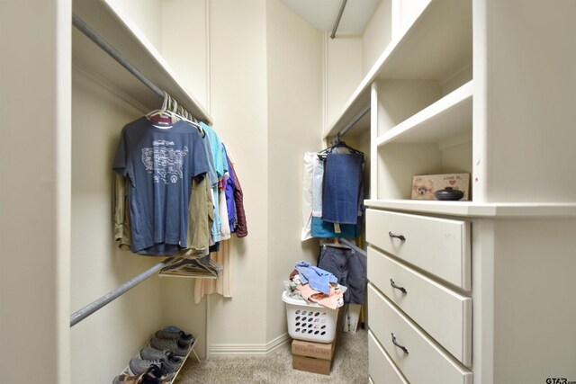 1860 Holcomb Cir, Tyler, TX 75703 - spacious closet with carpet floors