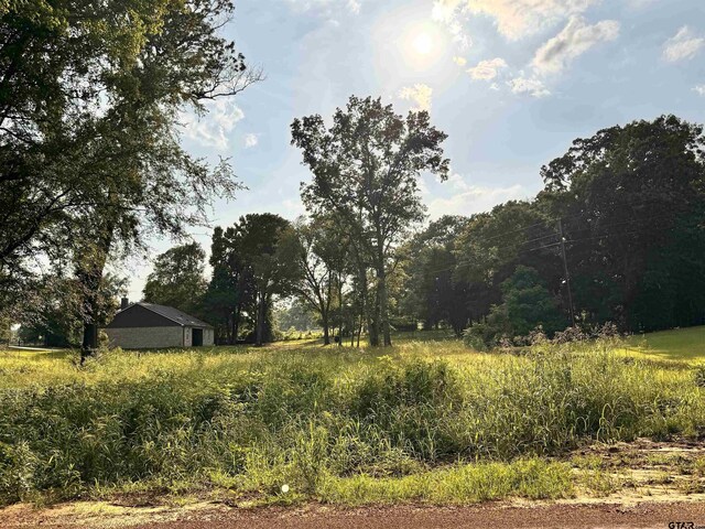 6671 County Road 118, Bullard, TX 75757 - photo 5