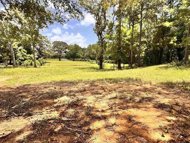 6671 County Road 118, Bullard, TX 75757 - photo 1