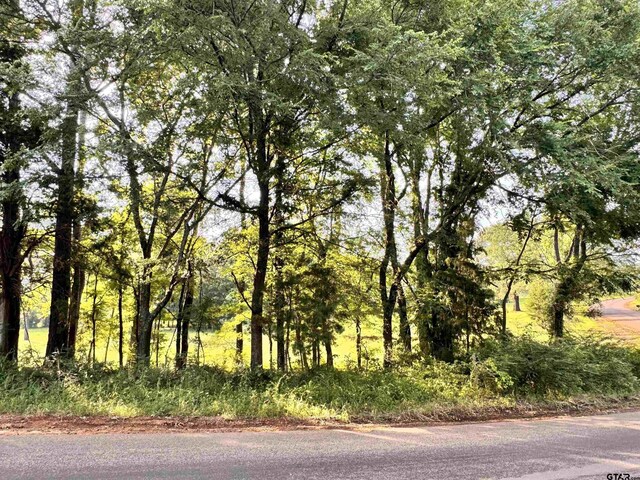 6671 County Road 118, Bullard, TX 75757 - photo 3
