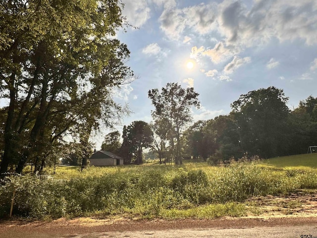 6671 County Road 118, Bullard, TX 75757 - photo 4