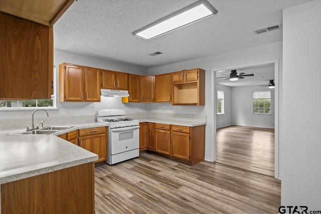 kitchen with light hardwood / wood-style floors, sink, ceiling fan, a textured ceiling, and white range with gas stovetop