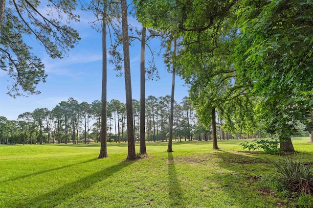 202 Pine Tree Unit 3A, Holly Lake Ranch, TX 75765 - photo 35