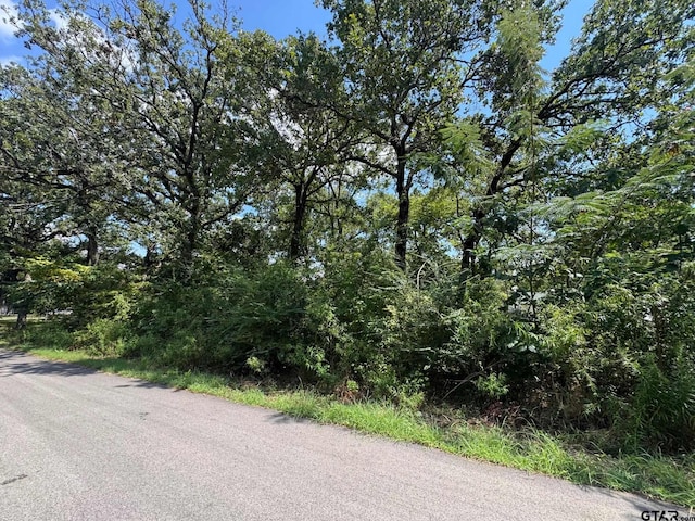 0 Hidalgo Loop, Mabank, TX 75156 - photo 4
