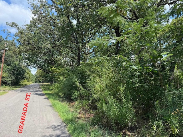 0 Hidalgo Loop, Mabank, TX 75156 - photo 2
