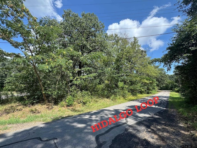 0 Hidalgo Loop, Mabank, TX 75156 - photo 1